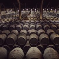 Vinos de Jerez y la Manzanilla