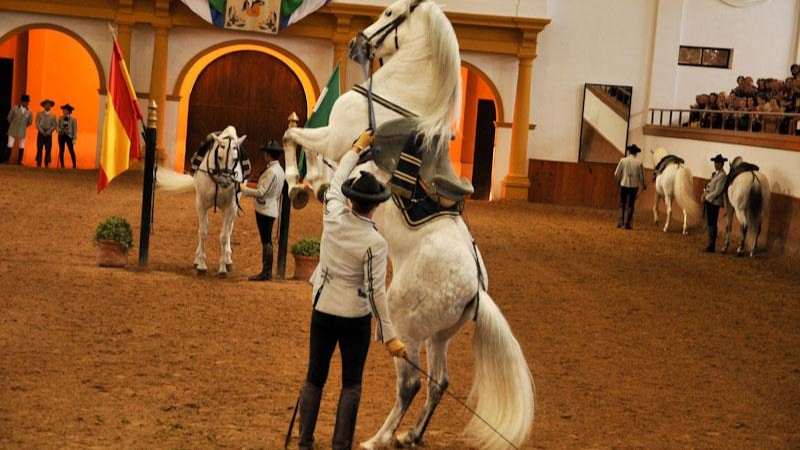 Real Escuela Andaluza del Arte Ecuestre