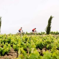 Sherry Bike ciclismo vino