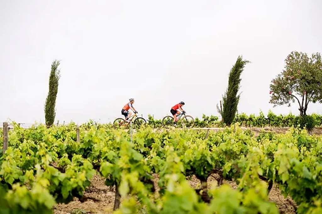 Sherry Bike ciclismo vino