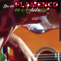Cartel del Día del Flamenco