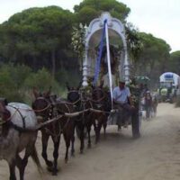 Jerez Caballería y carretas del Rocío desfile