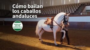 Los Pura Raza de la Real Escuela de Jerez conquistan el mundo en el Día de Andalucía