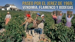 El Jerez de 1969 reaparece en imágenes: un viaje en el tiempo por bodegas, viñas y flamenco