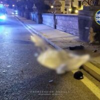 Trágico accidente de tráfico en Sevilla