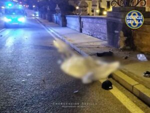 Trágico accidente de tráfico en Sevilla