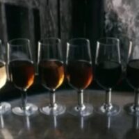 sherry vinos cata
