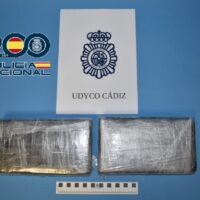 100.000 euros cocaína en el Puente de la Pepa