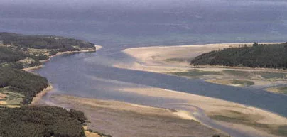 Desembocadura del Guadalete hace millones de años. Desembocadura del Guadalete hace millones de años