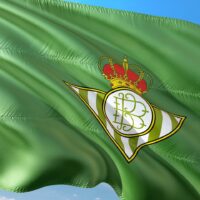 Imagen de la bandera del Real Betis