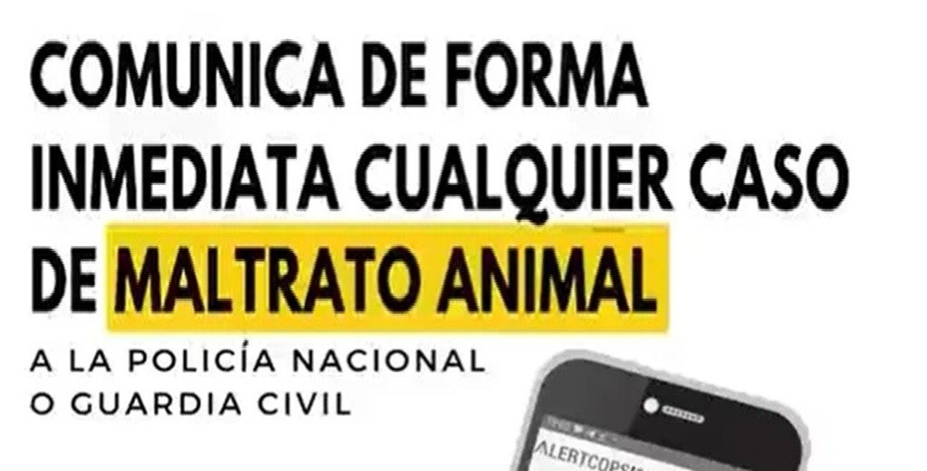 Cómo colaborar con la Policía contra el maltrato animal con AlertCops