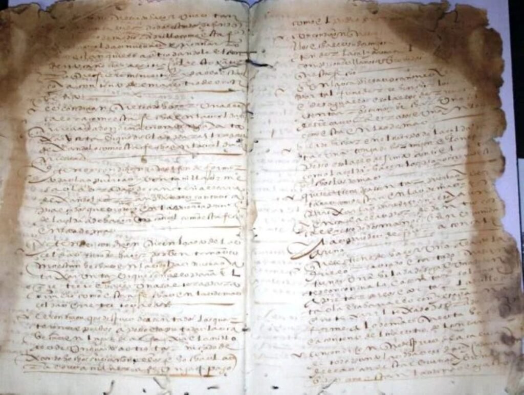 Instrucciones técnicas sobre madera de pino en el contrato de construcción de la Cartuja de Jerez.