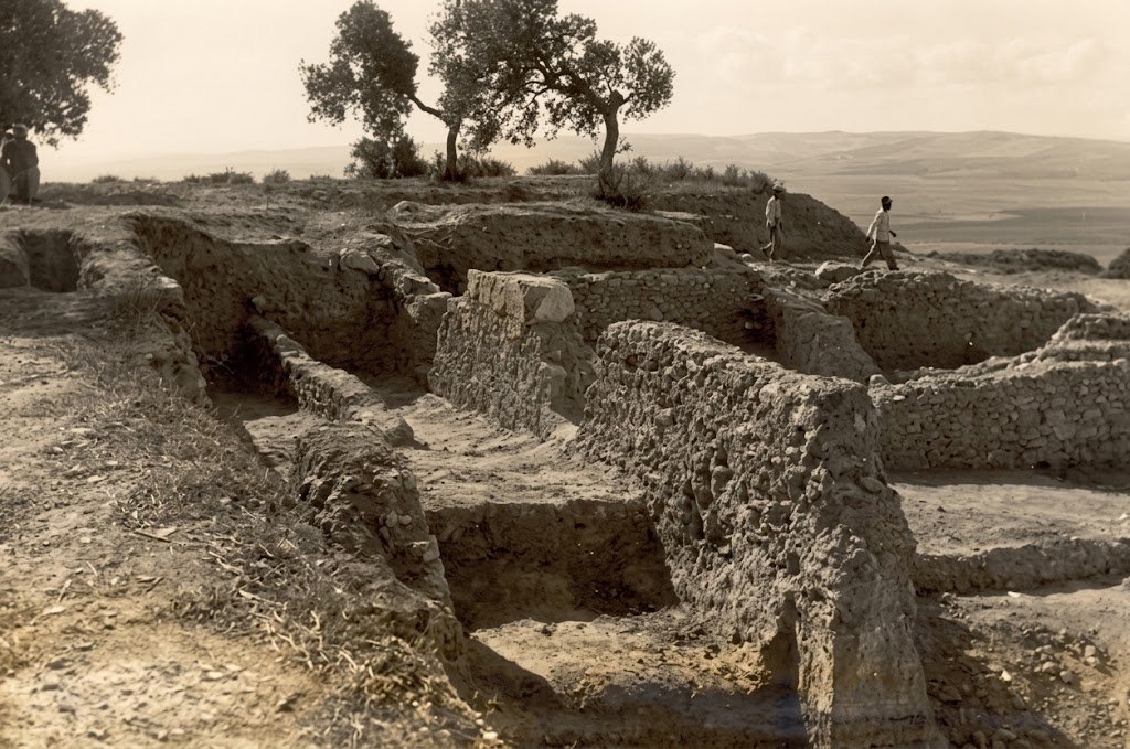 Fotografía histórica en tono sepia de las estructuras de mampostería y muros excavados en Asta Regia durante las campañas arqueológicas de mediados del siglo XX, con la campiña jerezana al fondo.