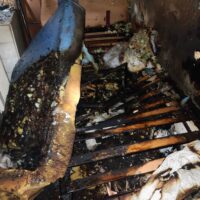 Trágico incendio en Jerez de la Frontera se cobra la vida de un hombre