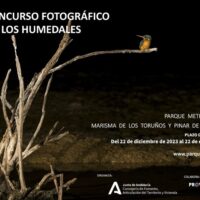 ¡Participa en el Concurso de Fotografía del Parque Metropolitano Marisma de los Toruños y Pinar de la Algaida!