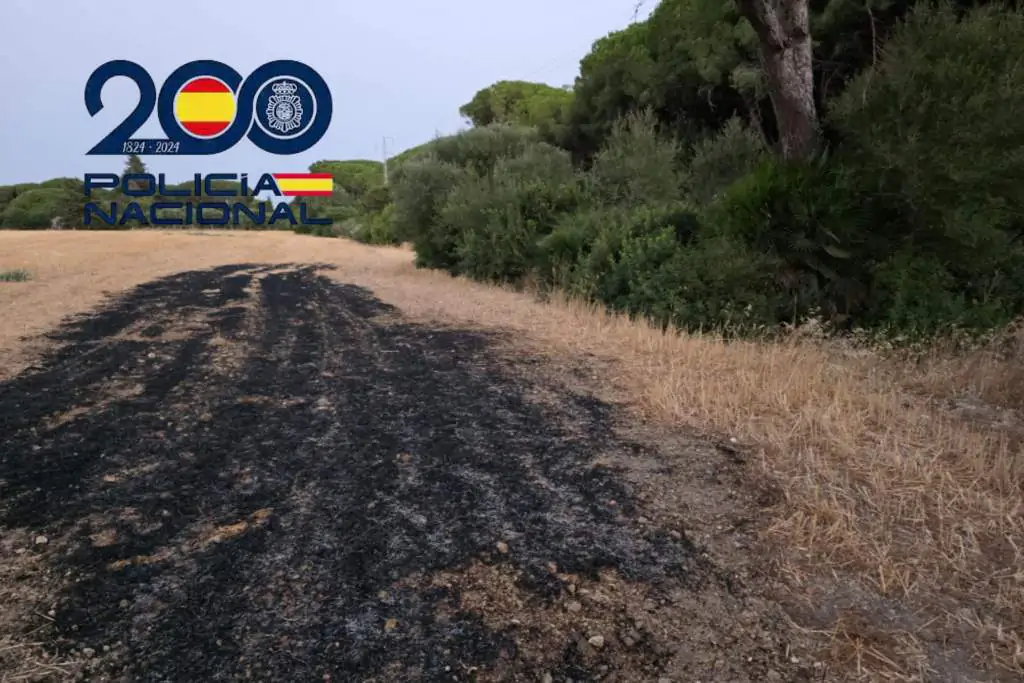 ¡Pillado con los mecheros en la mano! El crucial momento de la detención ciudadana que frenó un incendio en Puerto Real