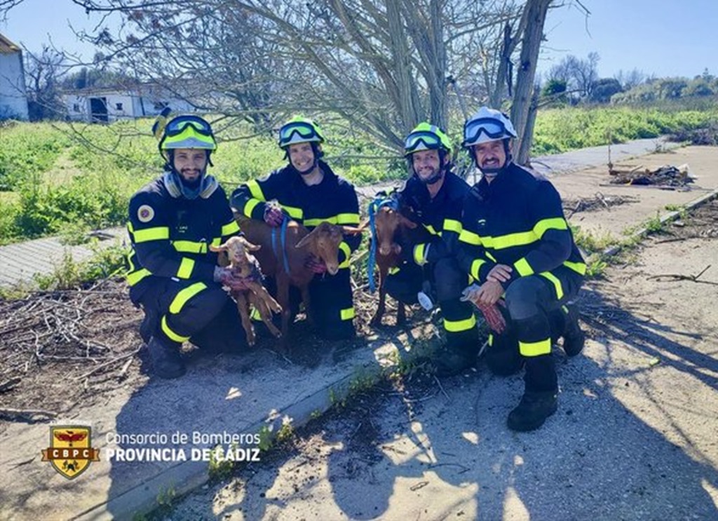 Bomberos rescatan a un perro y a cabras en un pozo abandonado en El Puerto de Santa María