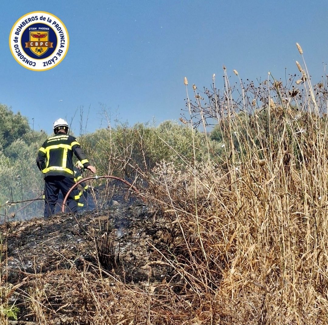 Efectivos del Consorcio de Bomberos de la Provincia de Cádiz intervienen en las tareas de extinción y refresco del terreno tras el incendio forestal en San Roque, sofocando puntos calientes con mangueras en una zona de monte bajo y vegetación seca.