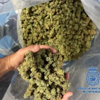 bolsa marihuana Jerez