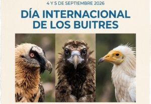 Día Internacional del Buitre en el Zoobotánico de Jerez: Programación y Actividades