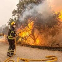 Fallece un hombre en un trágico incendio de una huerta