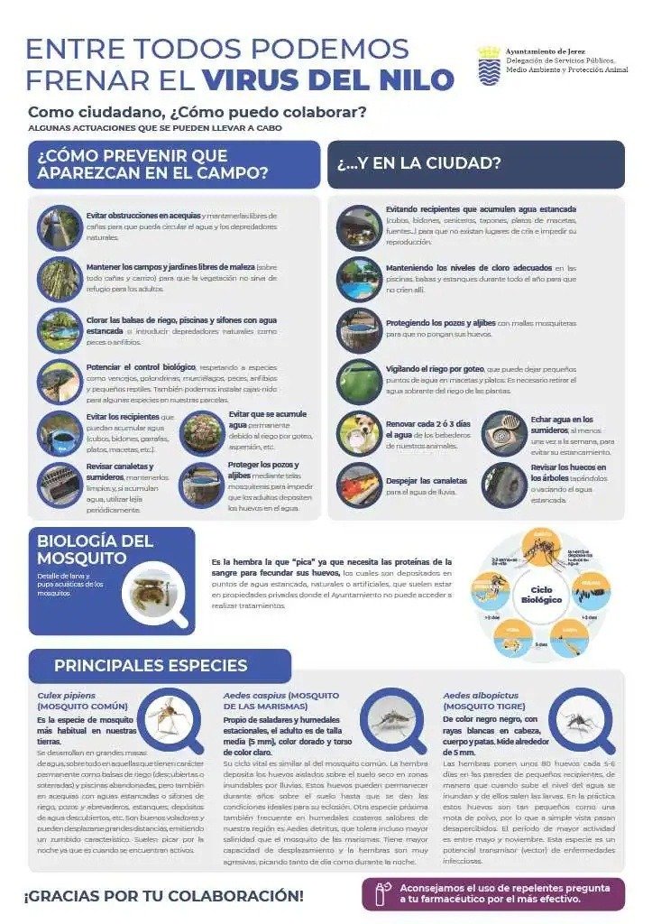 Infografía oficial del Ayuntamiento de Jerez con pautas de prevención contra el virus del Nilo, ciclo biológico del mosquito y especies principales.