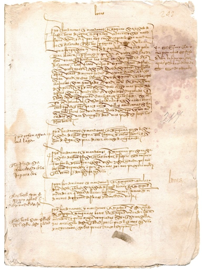 Manuscrito original de las Ordenanzas del vino de Jerez de 1483 en caligrafía gótica procesal, regulando la recolección de uvas según la edad de la viña, la prohibición de echar agua en el lagar y la tasa de las botas.