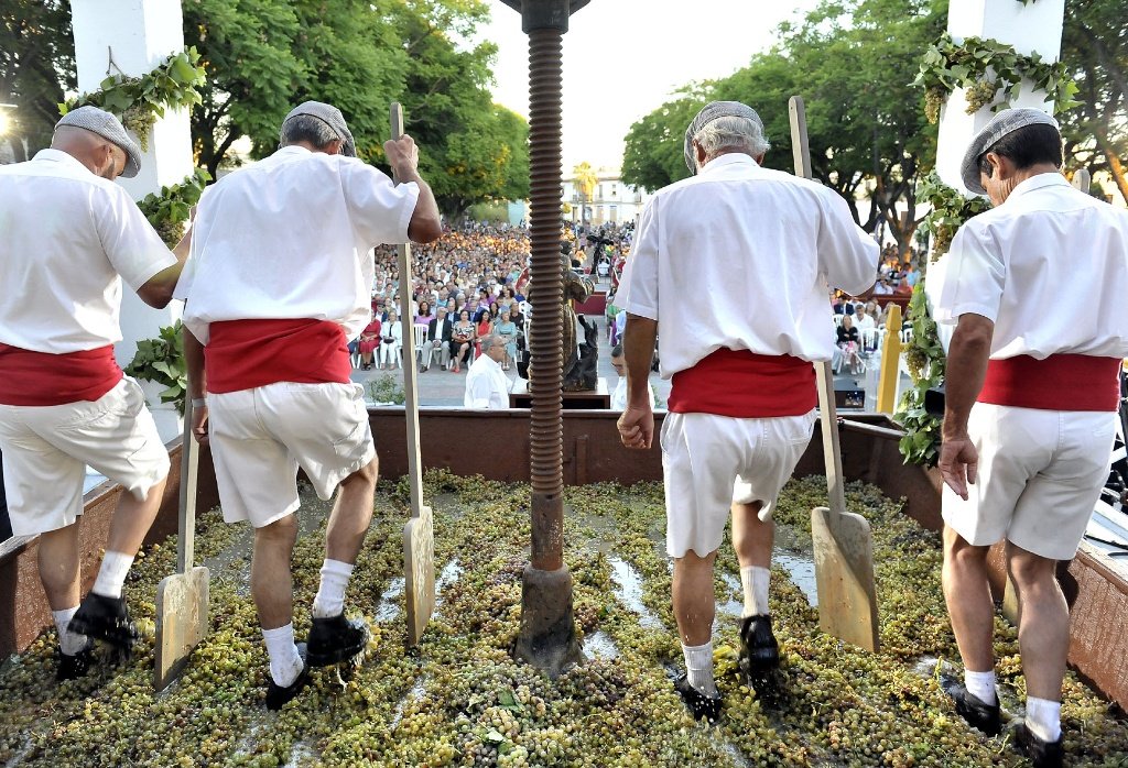 Pisadores en el lagar durante la celebración de la Pisa de la Uva en la Alameda Vieja de Jerez en 2022.