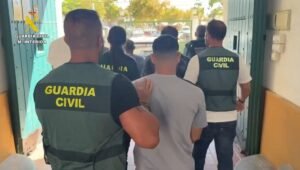 Desarticulado un grupo organizado tras robar y maltratar galgos federados en Sevilla