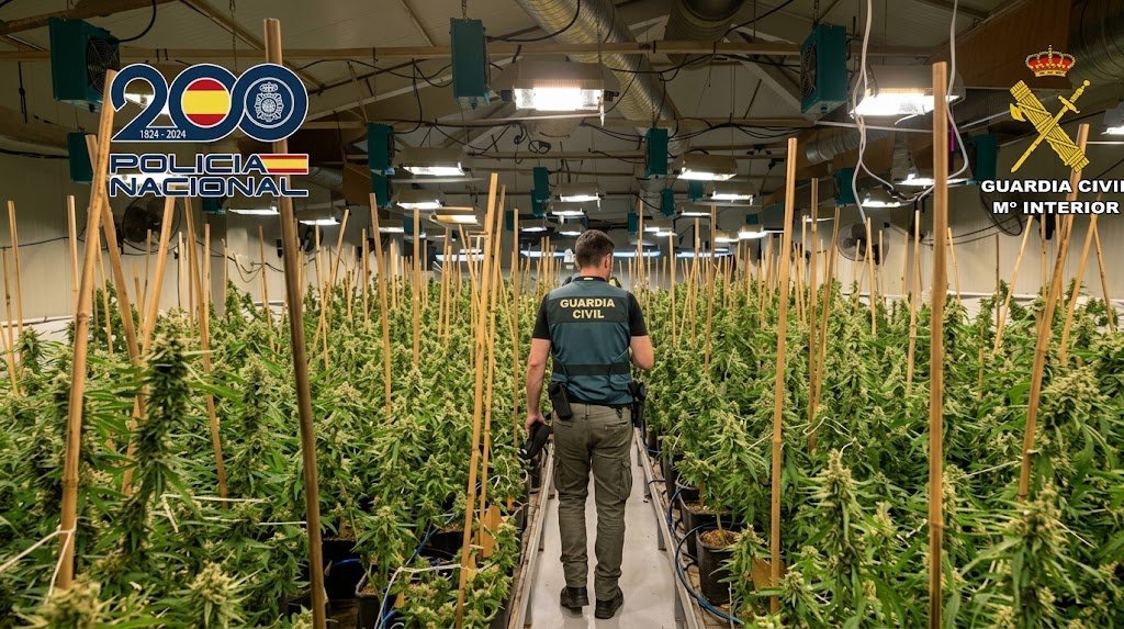 Agentes de la Guardia Civil e inspección policial supervisan las instalaciones de un cultivo indoor de marihuana incautado en Jerez.