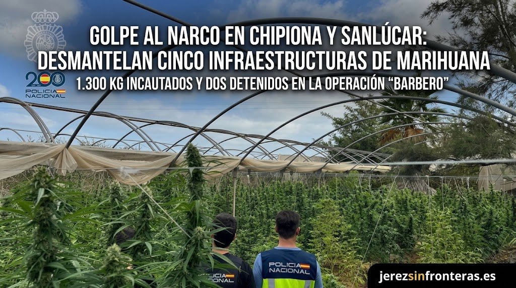 Caen cinco centros de producción de marihuana en Sanlúcar y Chipiona con 1.300 kilos de sustancia