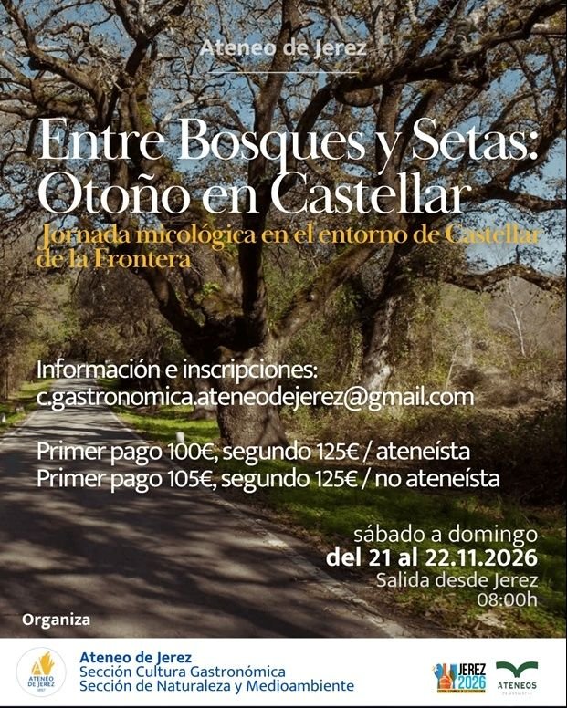 Cartel promocional en formato vertical del Ateneo de Jerez para la jornada micológica "Entre Bosques y Setas: Otoño en Castellar". Aparece una carretera flanqueada por alcornocales en Castellar de la Frontera, con textos superpuestos detallando fechas, precios e información de contacto, junto con los logotipos de las secciones organizadoras en la parte inferior.