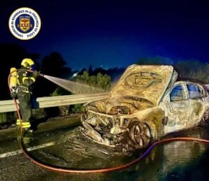 Arde un turismo en la A-390 y las rachas de viento amenazan con propagar las llamas a la vegetación