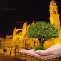 medio ambiente