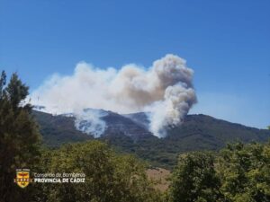 Incendio en Tarifa