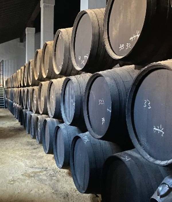 ¡Descubre los secretos del Jerez en Bodegas Álvaro Domecq!