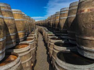 Un paseo por el Jerez del XVIII y XIX