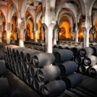 ruta por sus históricas bodegas