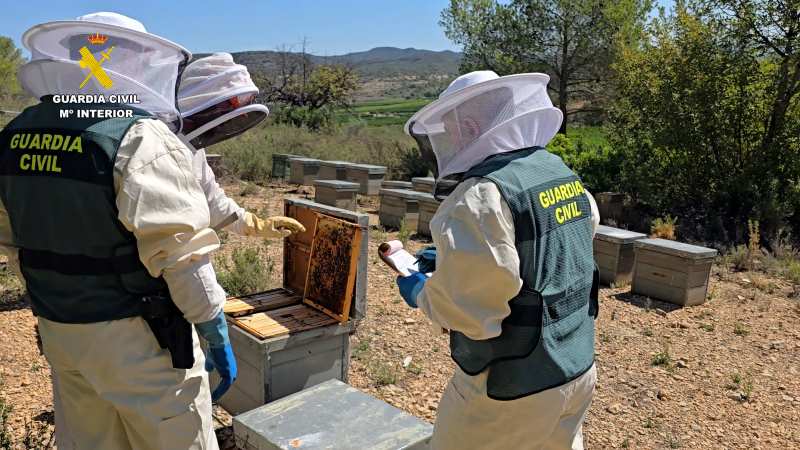 Alerta sanitaria: Millones en riesgo por miel adulterada con pesticidas