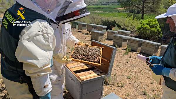 miel adulterada con pesticidas