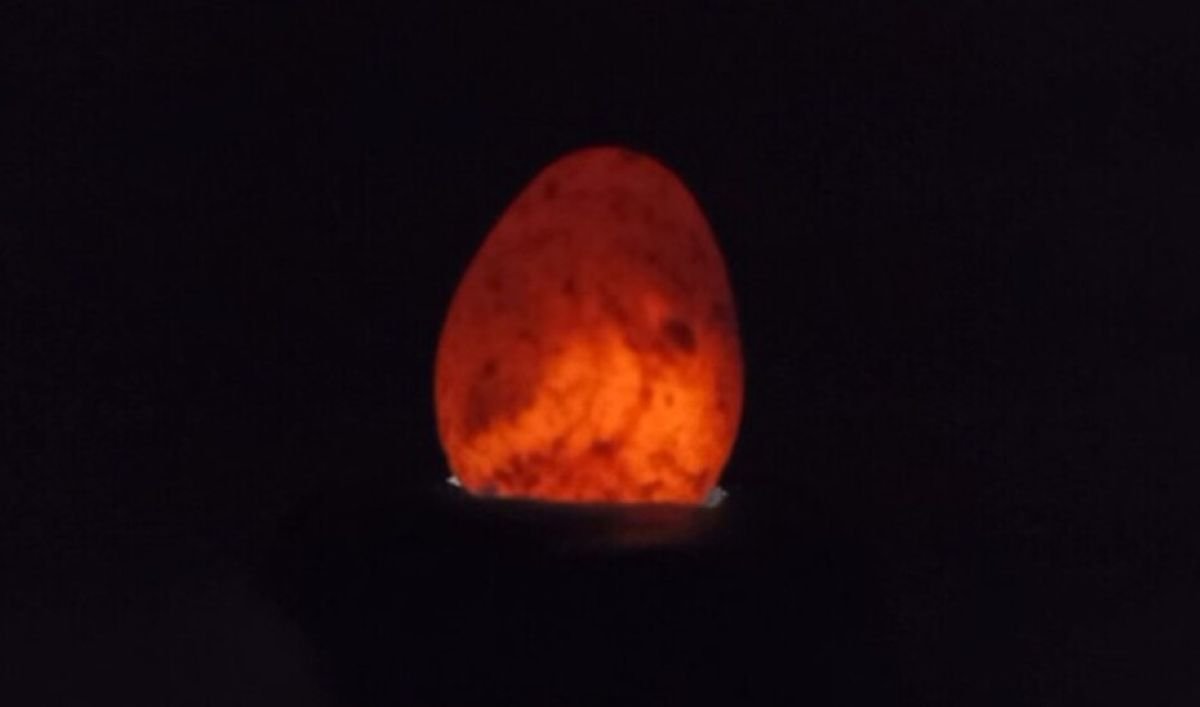 Primer plano en la oscuridad de un huevo iluminado desde abajo mediante ovoscopia, mostrando un tono naranja brillante y la red de desarrollo embrionario en su interior.