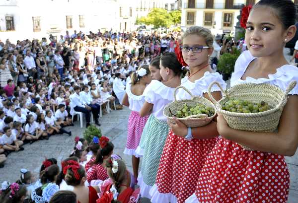 Los más pequeños celebran la vendimia