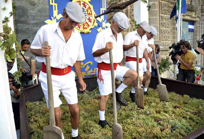 Jerez se viste de gala para la Pisa de la Uva y celebra la Vendimia 2024