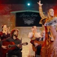 Jerez flamenco
