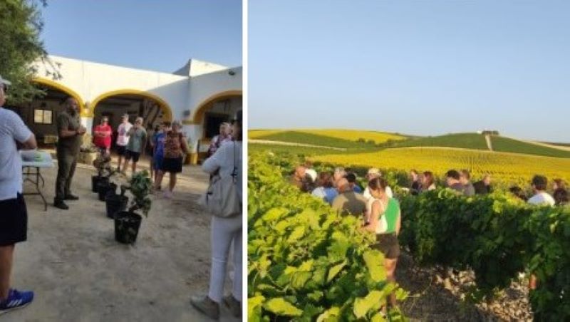 Un brindis a la tradición: Visita guiada a la Viña Escuela Las Majadillas