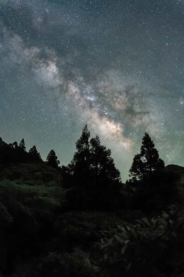 bajo las estrellas