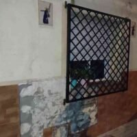 Dos detenidos en Cádiz
