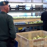 Fraude alimentario masivo