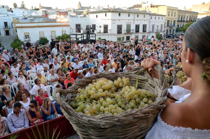 La Pisa de la Uva