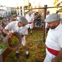 La pisa de la uva en Jerez
